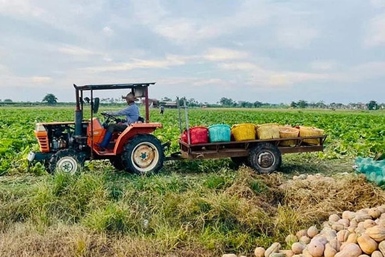 Hướng tới sản xuất xanh  trong nông nghiệp